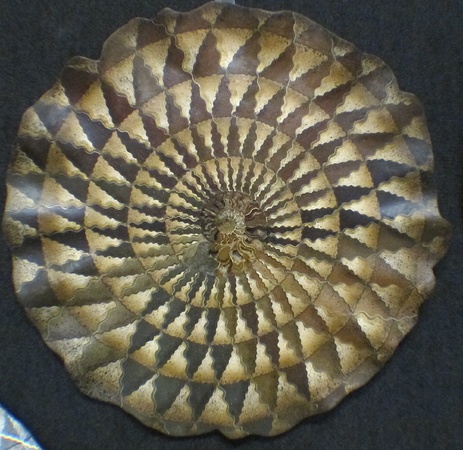 "Carmelized Spiral", ammonite fossil wall sculpture, 30" in diameter, M/M : Wall Sculpture : Fossil and organic mixed media sculpture by Lee Brotherton