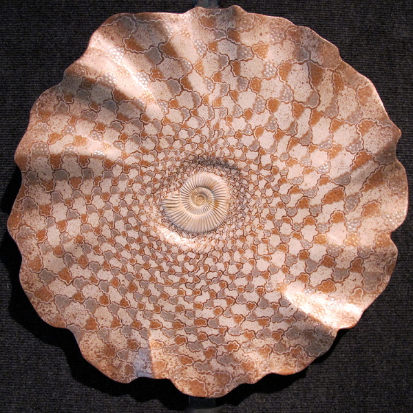 "Coral Dance" Ammonite fossil wall sculpture, 20" x 1.5", M/M : Wall Sculpture : Fossil and organic mixed media sculpture by Lee Brotherton